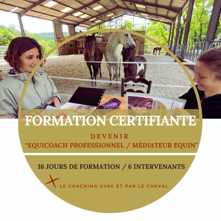 affiche-formation-equicoach