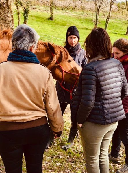 equicoaching-mediation-equine-lyon