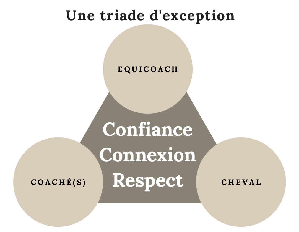 formation-equicoaching-lyon-devenir-equicoach