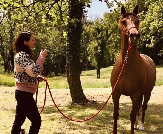 marie-galinier-mediatrice-equine-lyon