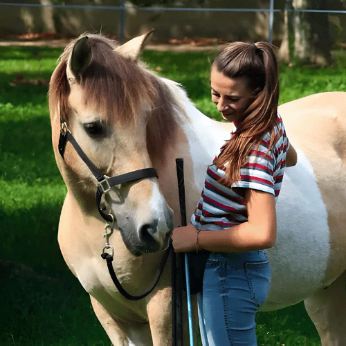 naomi-ottavy-comportementaliste-equin-devenir-equicoach