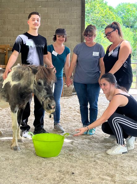 Séances-équicoaching- pour-les-professionnels-à-Lyon