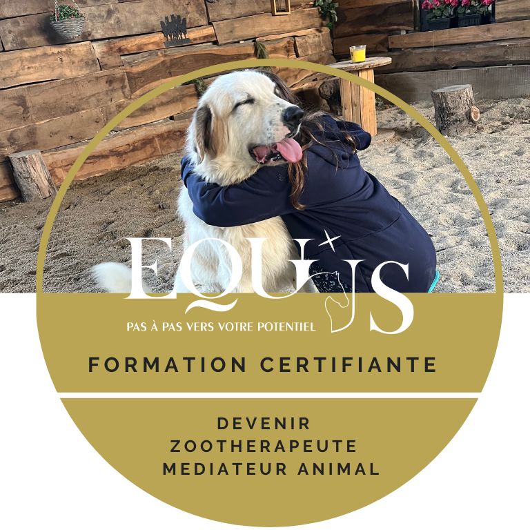 formation-certifiante-professionelle-mediation-animale-zootherapeute-Lyon