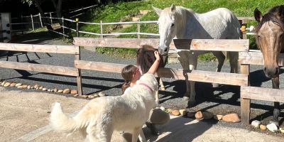 parcours-de-formation-médiation-animale-devenir-zoothérapeute-a-Lyon-mediation-par-l'animal