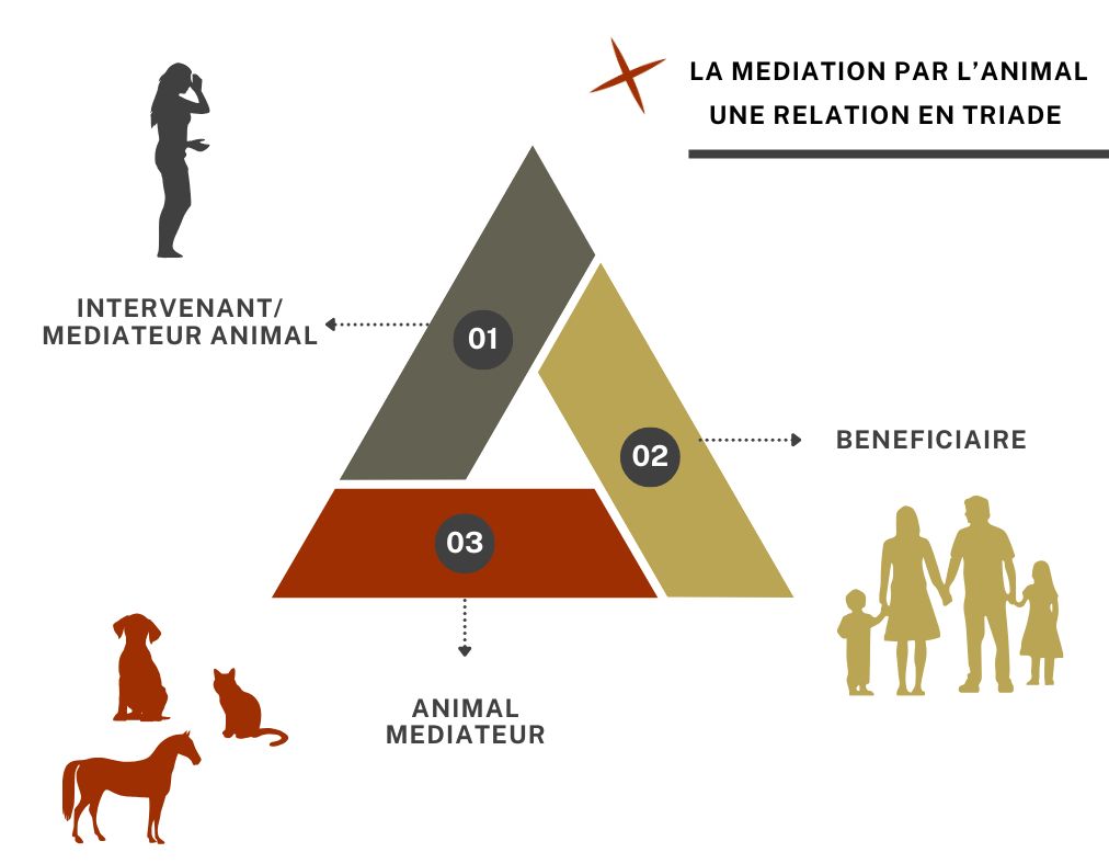 médiation-animale-une-relation-en-triade