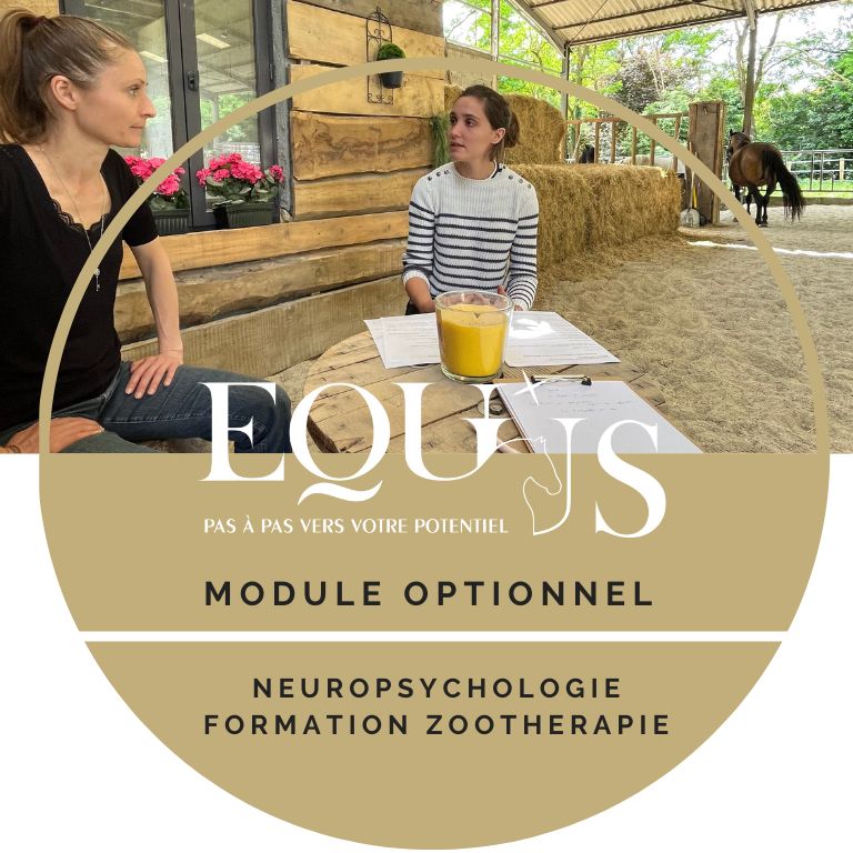 module-optionnel-neuropsychologie-médiation-animale-zoothérapie