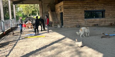 Formation-professionnelle-zoothérapie-Lyon-Therapie-animal-médiation-animal