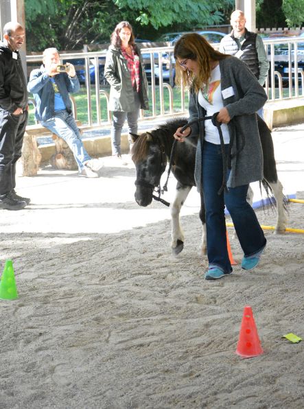 equicoaching-entreprise-lyon